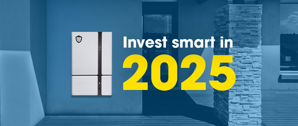 Why 2025 Is the Year to Invest in Solar Battery Storage